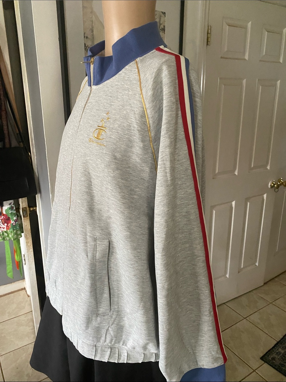 Champion nwt Light Gray USA Sweatshirt with Gold Embroidered Logo - Picture 2 of 10